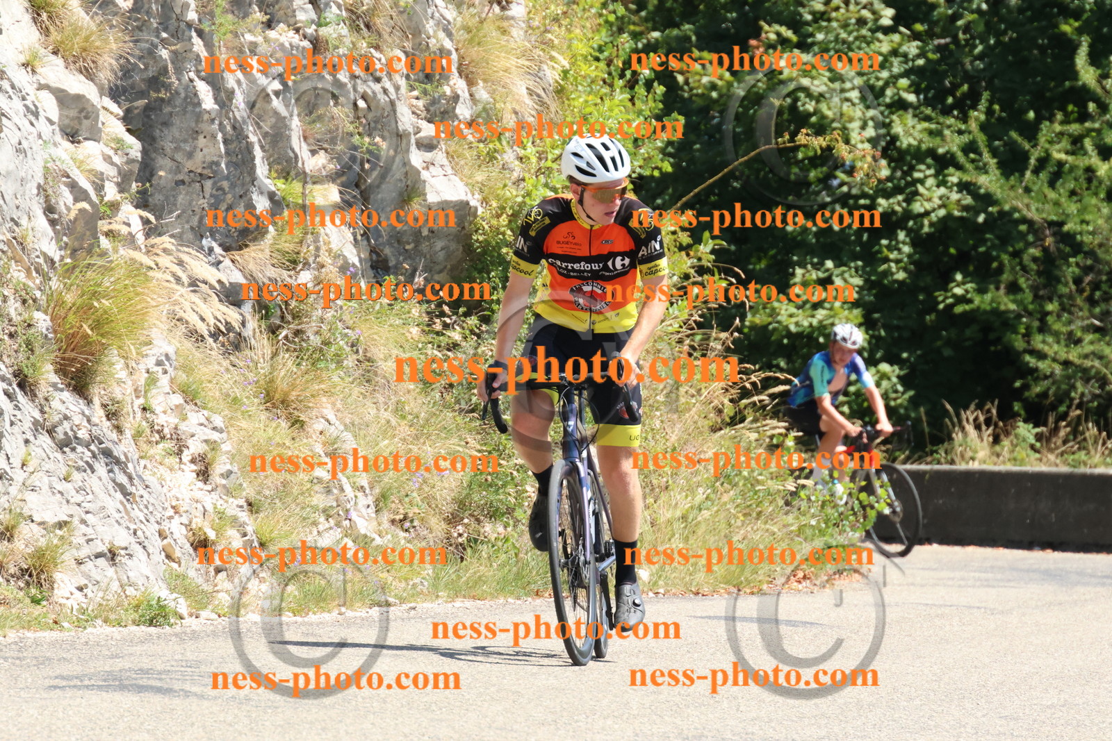 Col du Grand Colombier (531).JPG