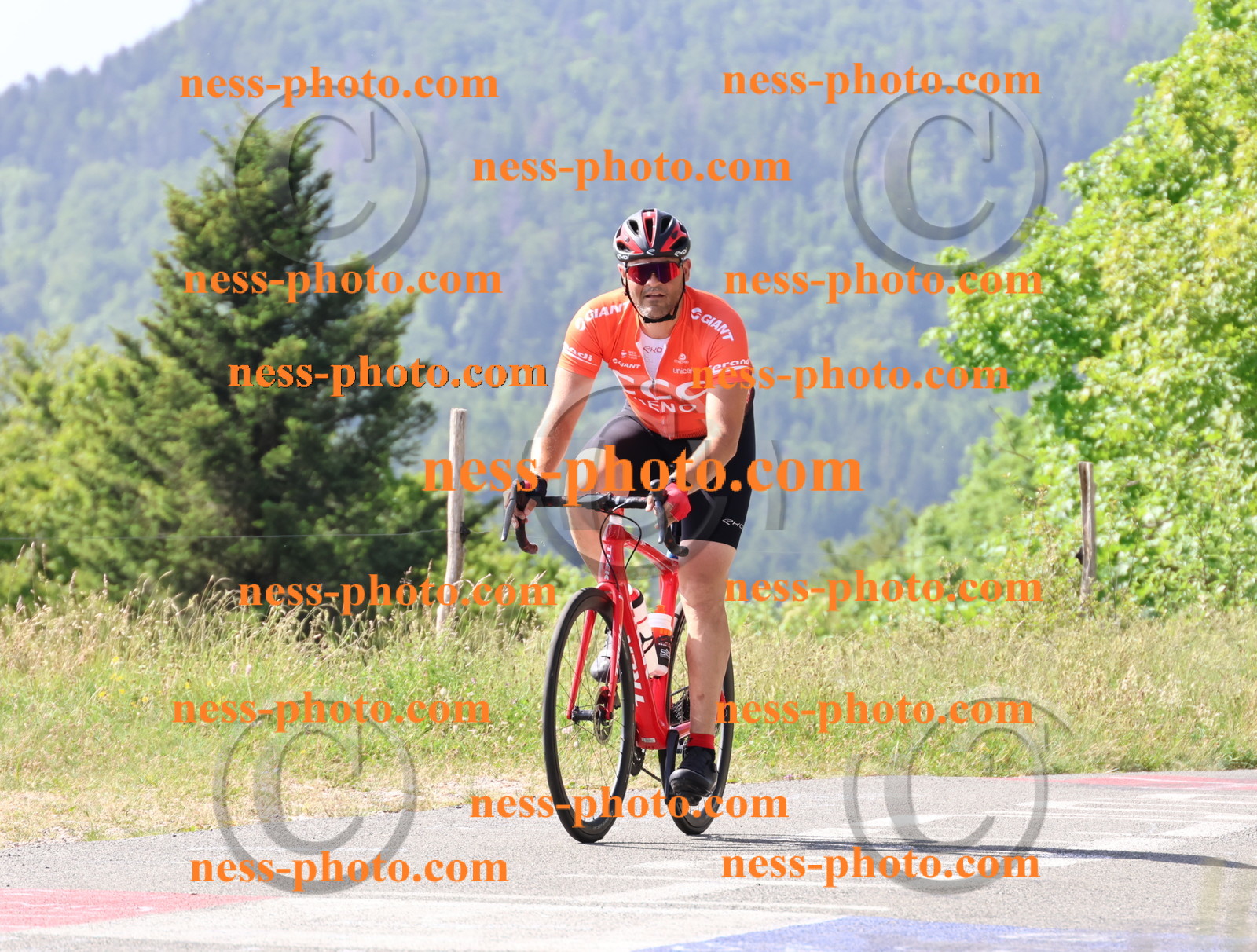 Col du grand Colombier (627).JPG