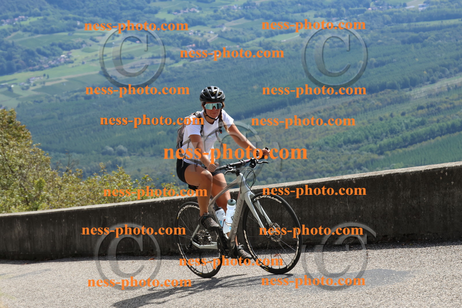 Col du Grand Colombier (660).JPG