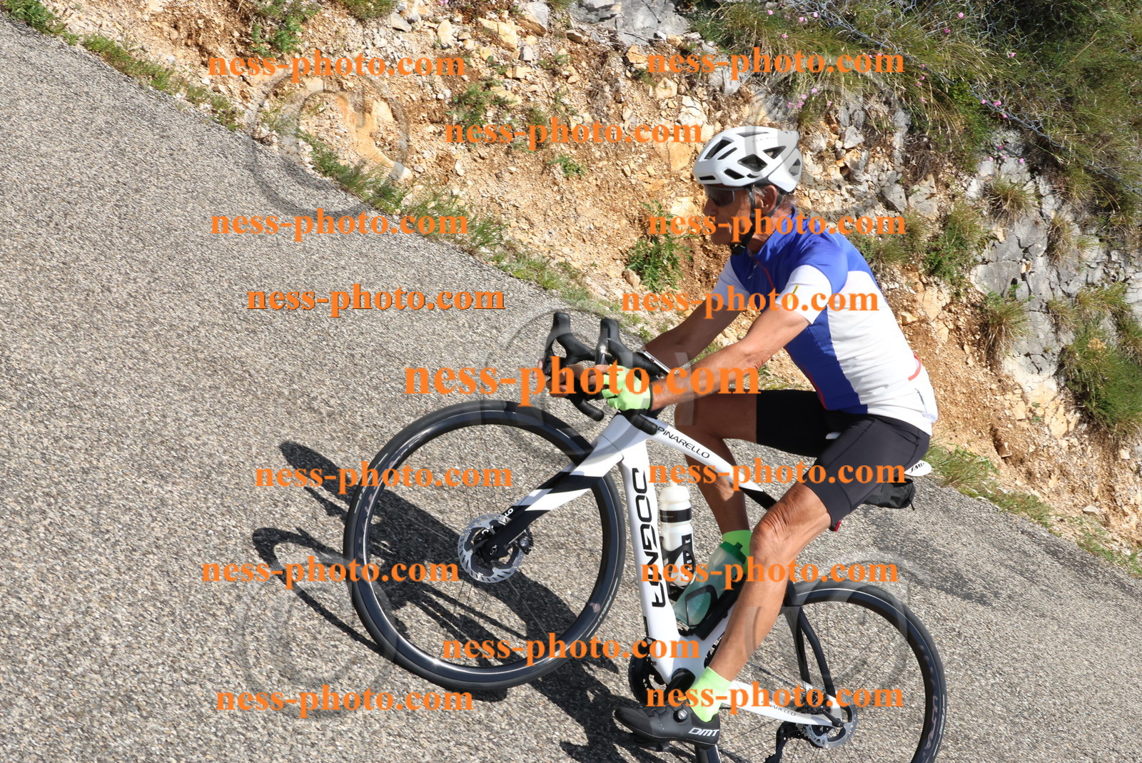 Col du Grand Colombier (157).JPG