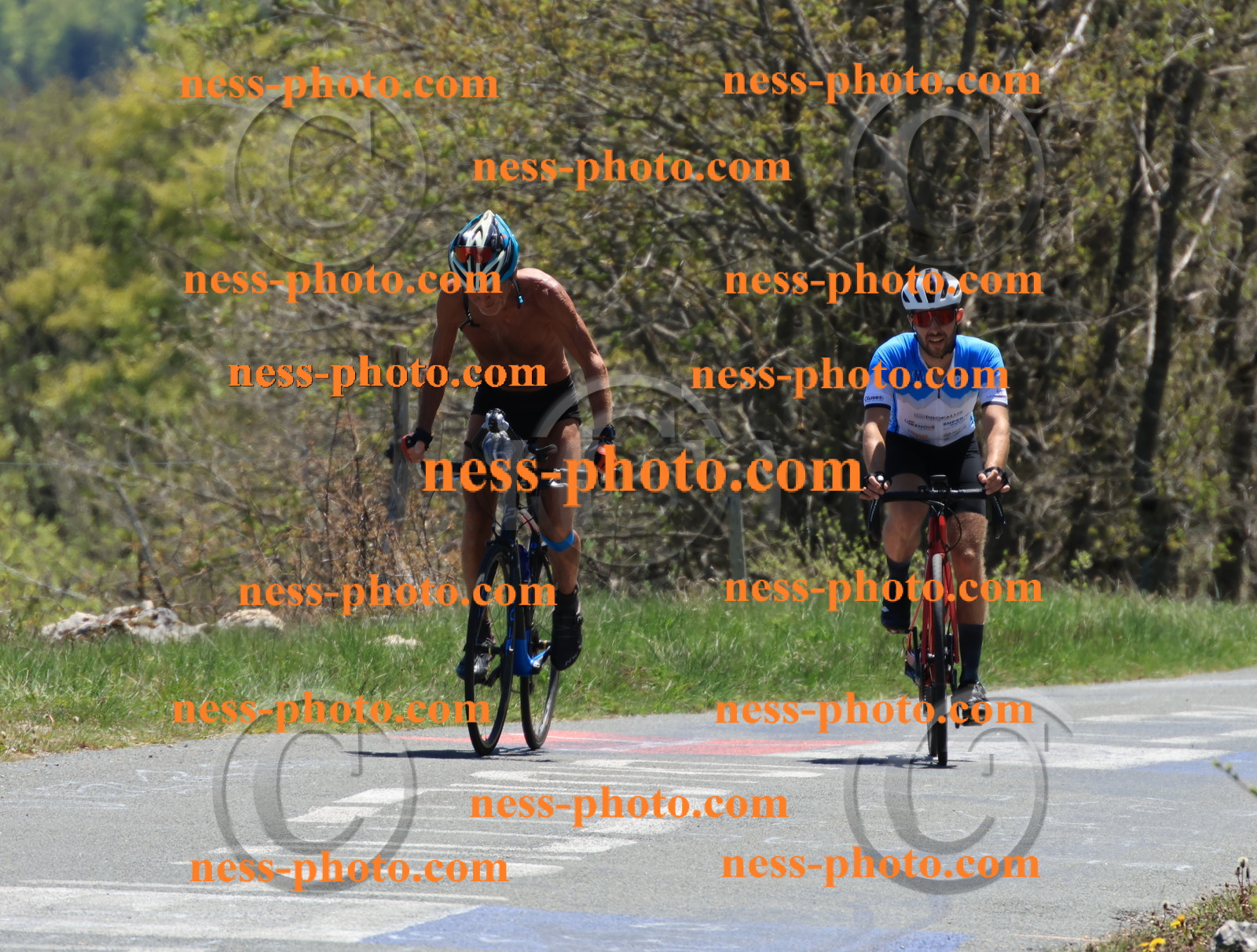 Col du Grand Colombier (458).JPG