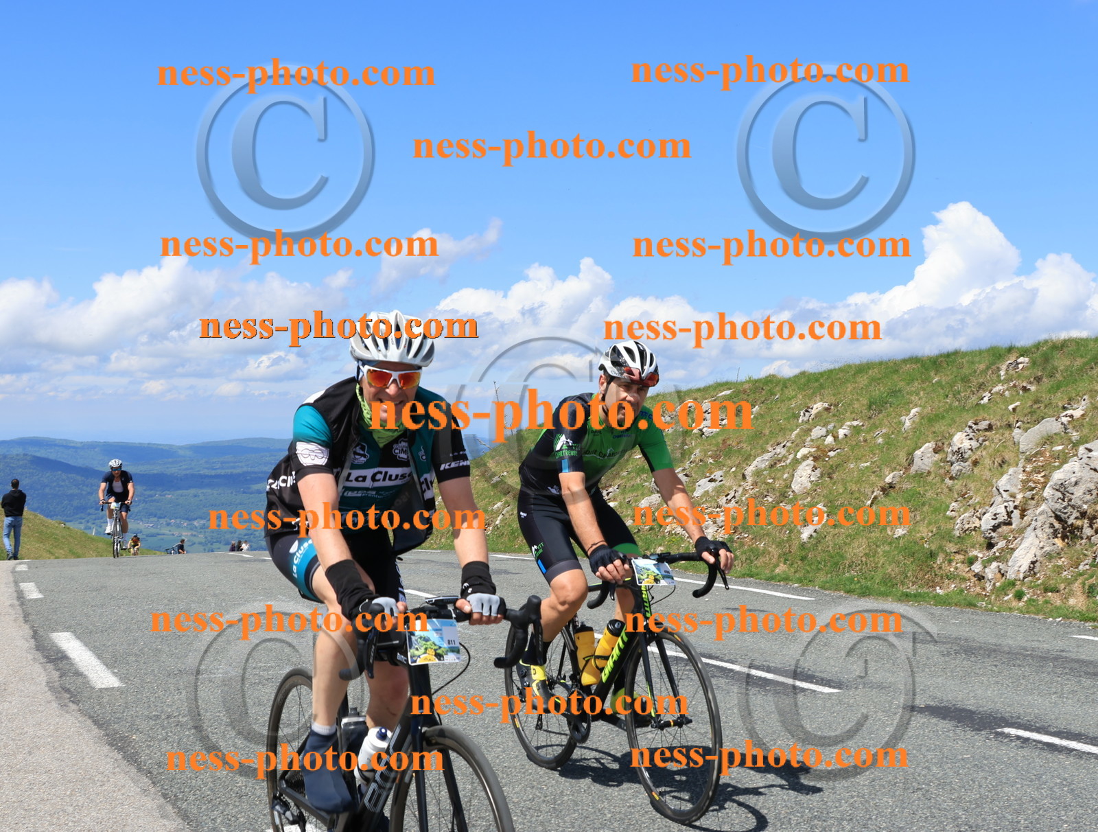 Col du Grand Colombier (2289).JPG