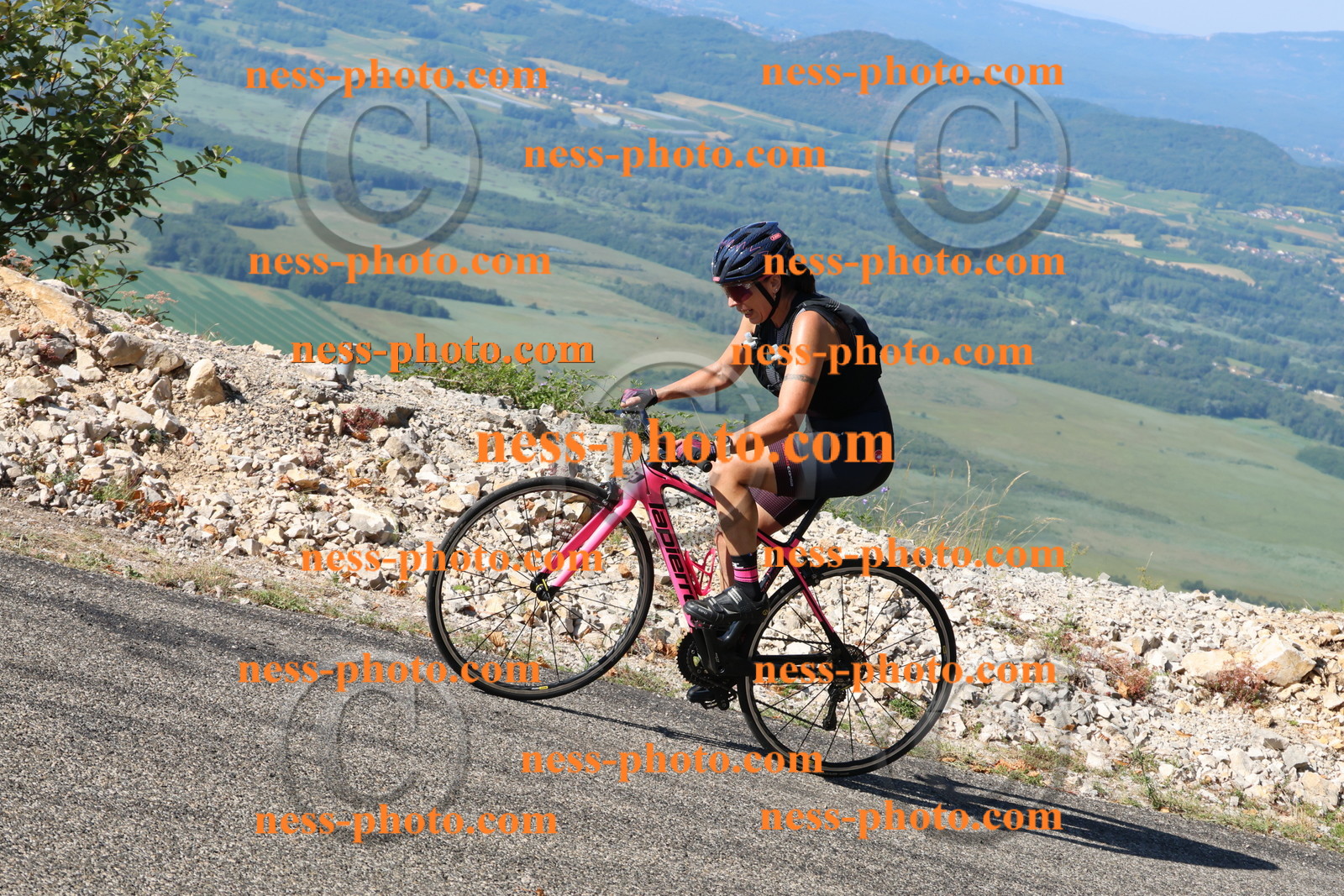 Col du Grand Colombier (1277).JPG