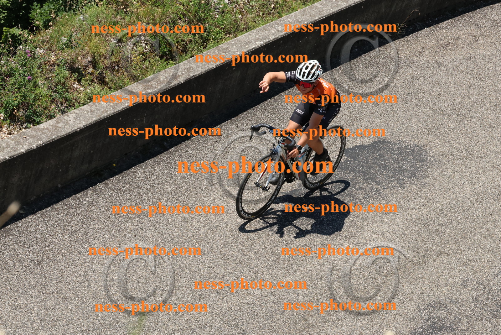 Col du Grand Colombier (506).JPG