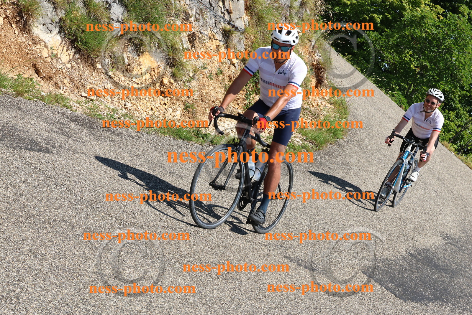 Col du Grand Colombier (494).JPG