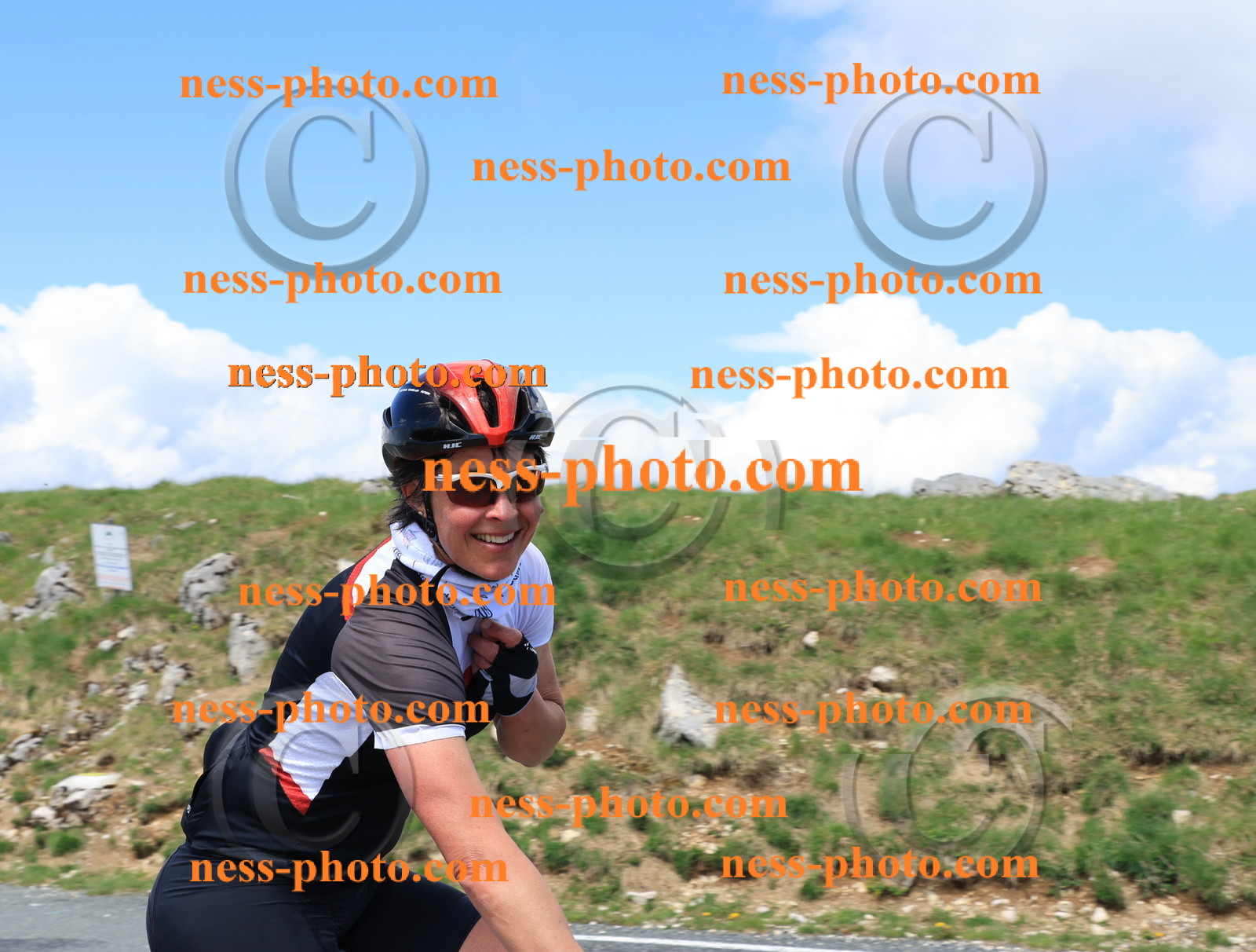 Col du Grand Colombier (2479).JPG