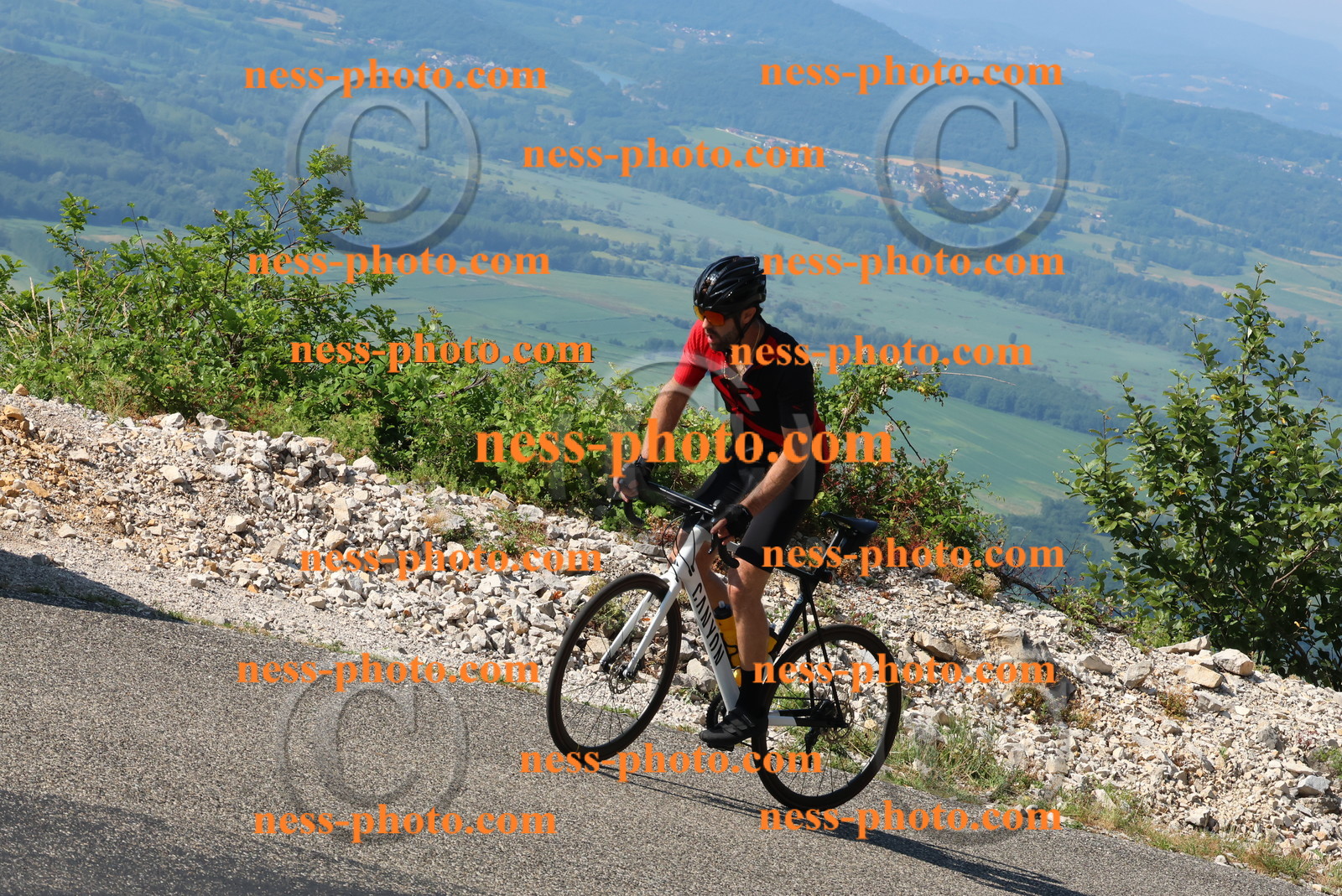 Col du Grand Colombier (175).JPG