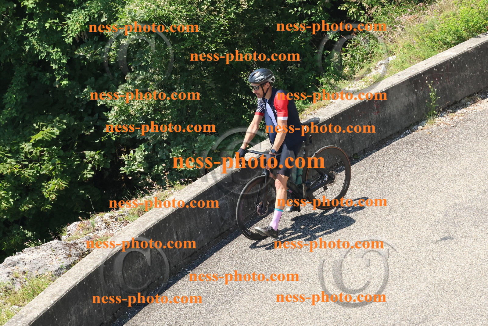 Col du Grand Colombier (490).JPG