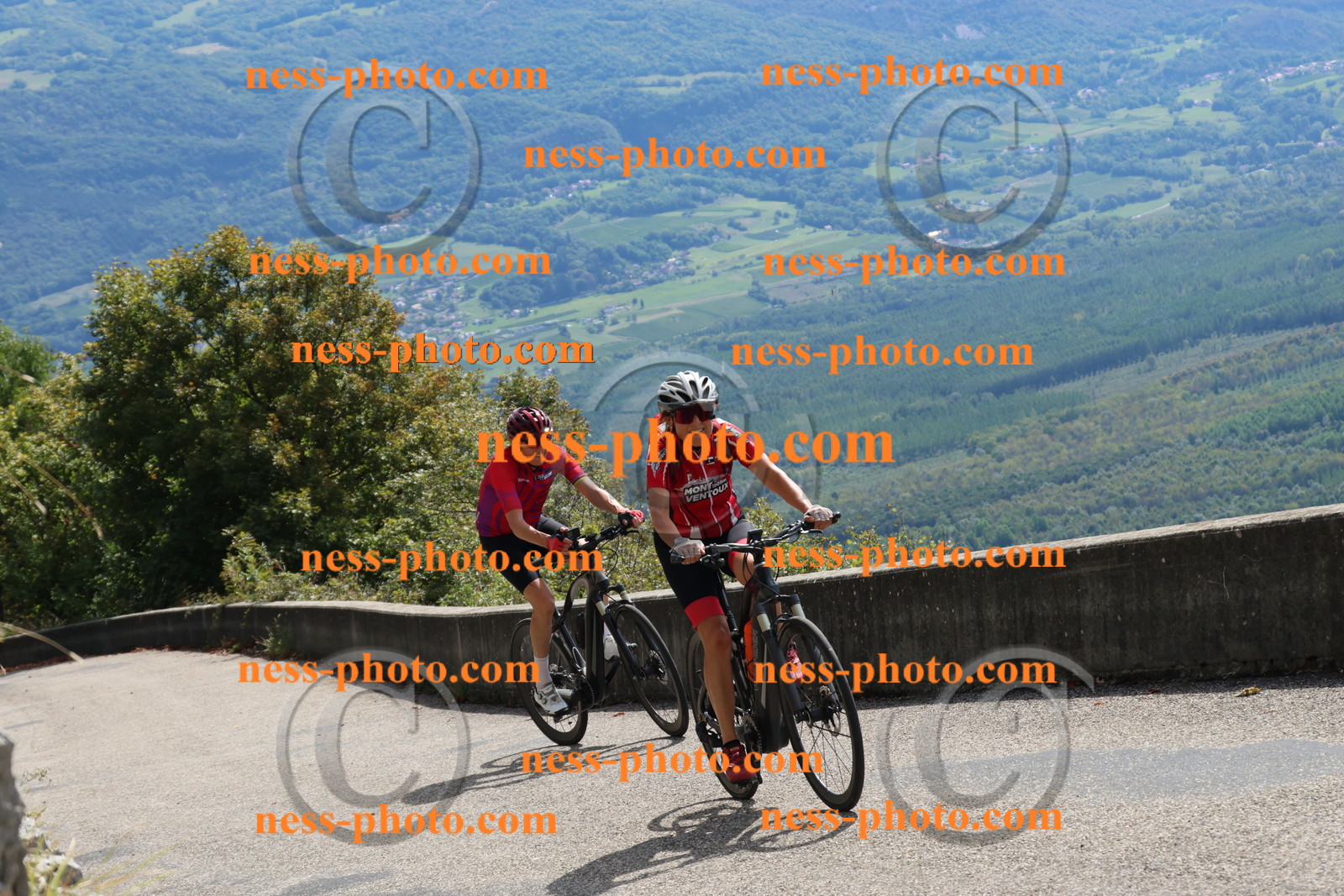 Col du Grand Colombier (513).JPG