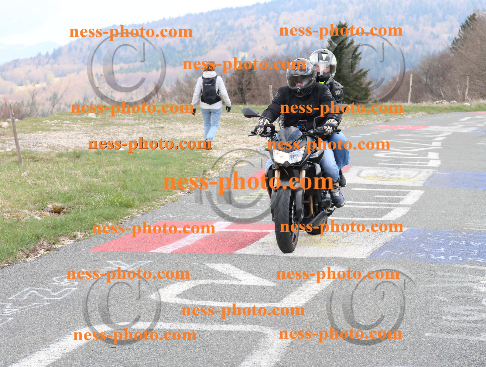 Col du Grand Colombier (90).JPG