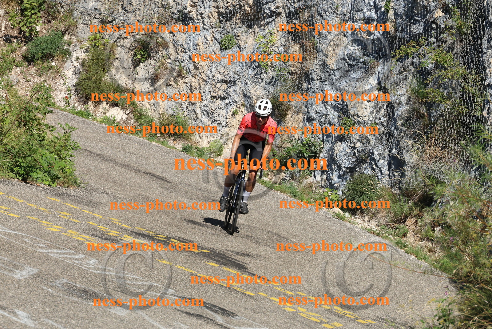 Col du Grand Colombier (279).JPG