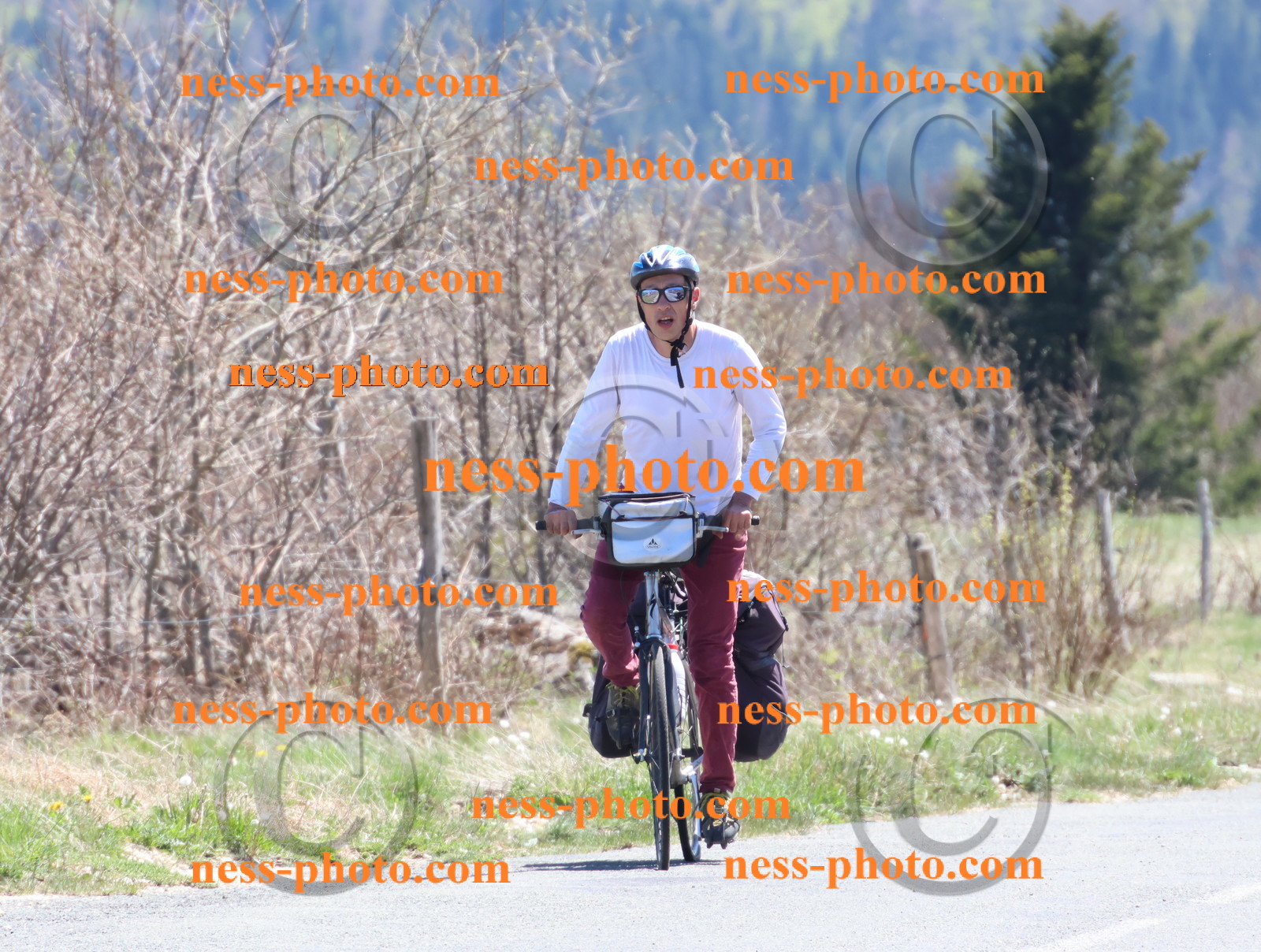 Col du Grand Colombier (850).JPG