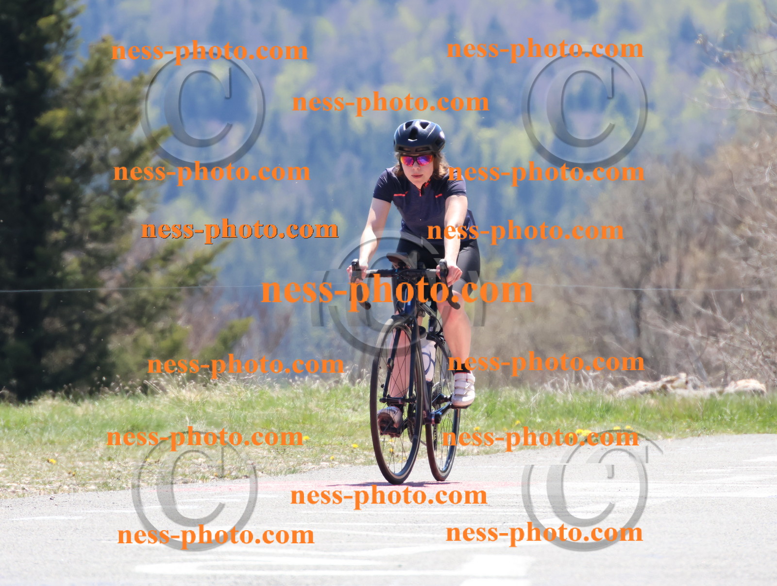 Col du Grand Colombier (652).JPG