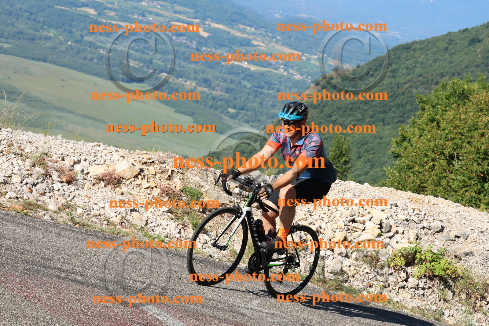 Col du Grand Colombier (951).JPG