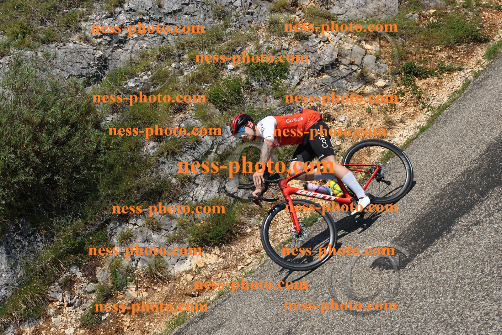 Col du Grand Colombier (481).JPG