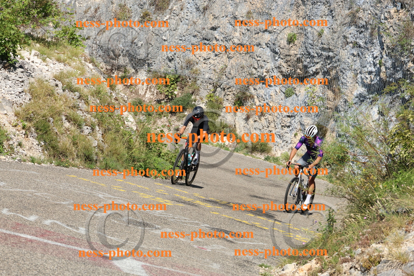 Col du Grand Colombier (361).JPG