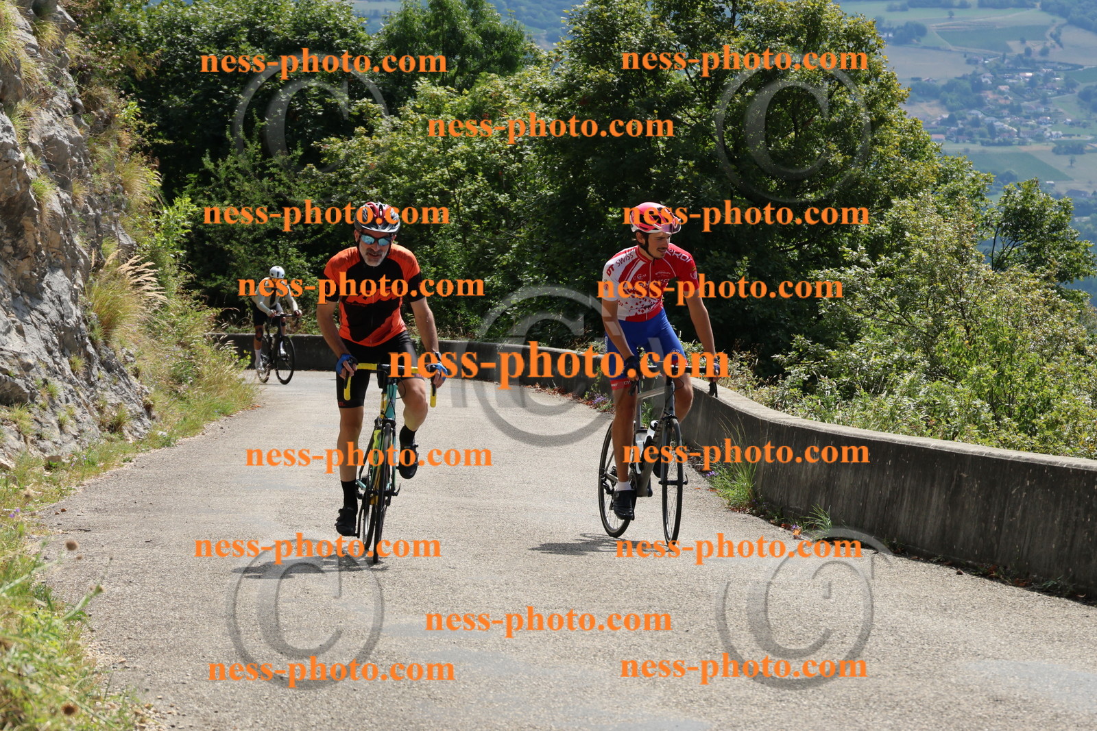 Col du Grand Colombier (259).JPG