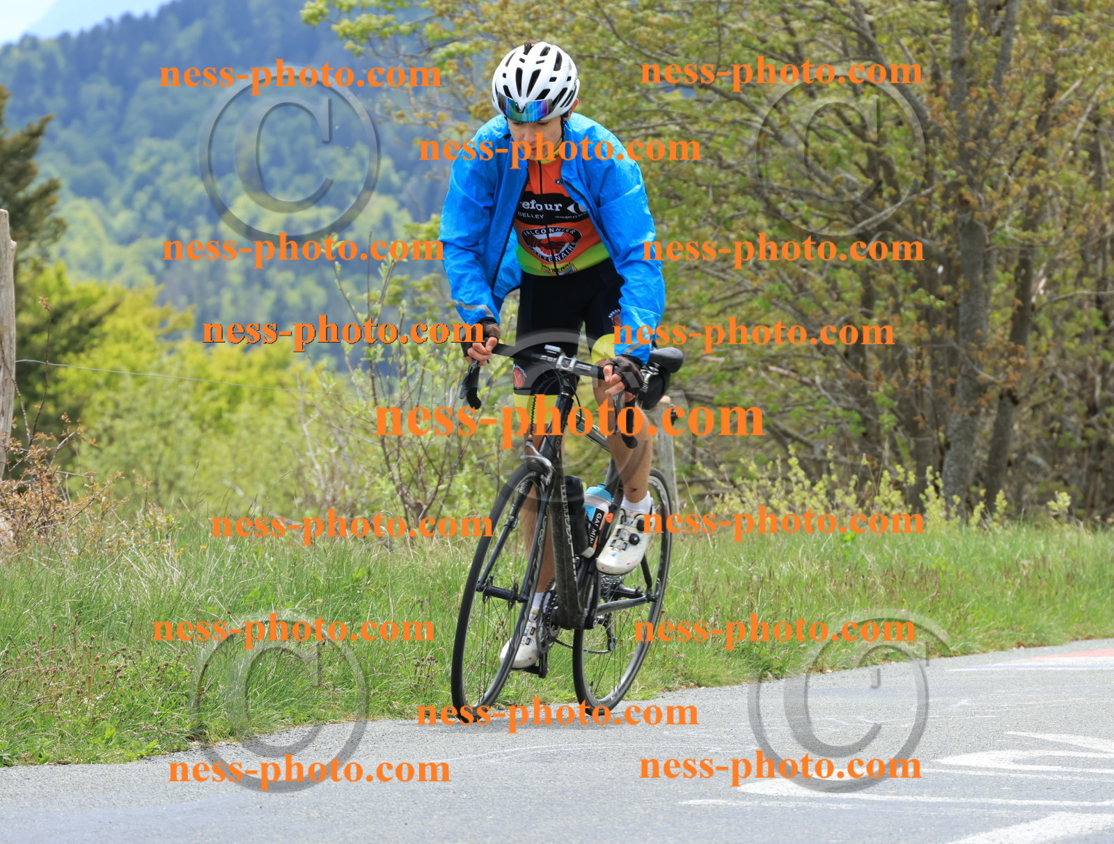 Col du Grand Colombier (489).JPG