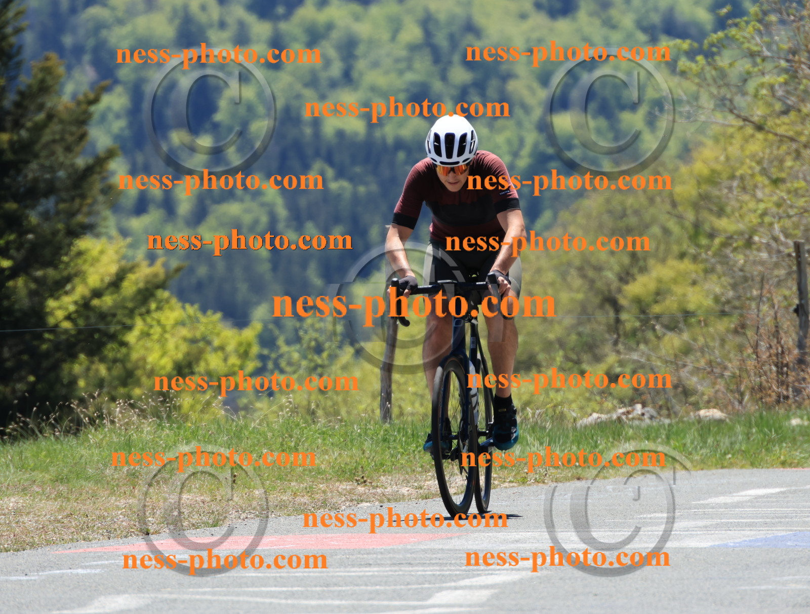 Col du Grand Colombier (351).JPG