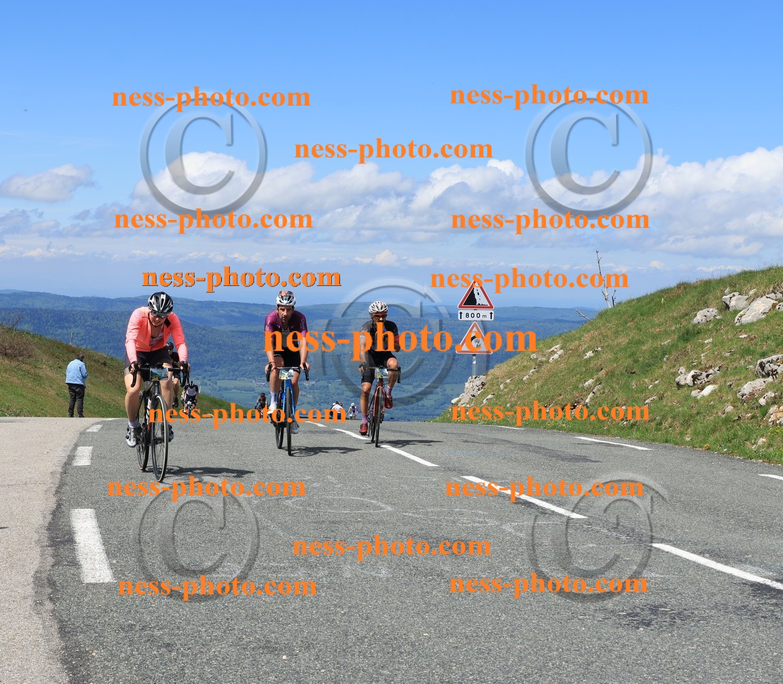 Col du Grand Colombier (1508).JPG