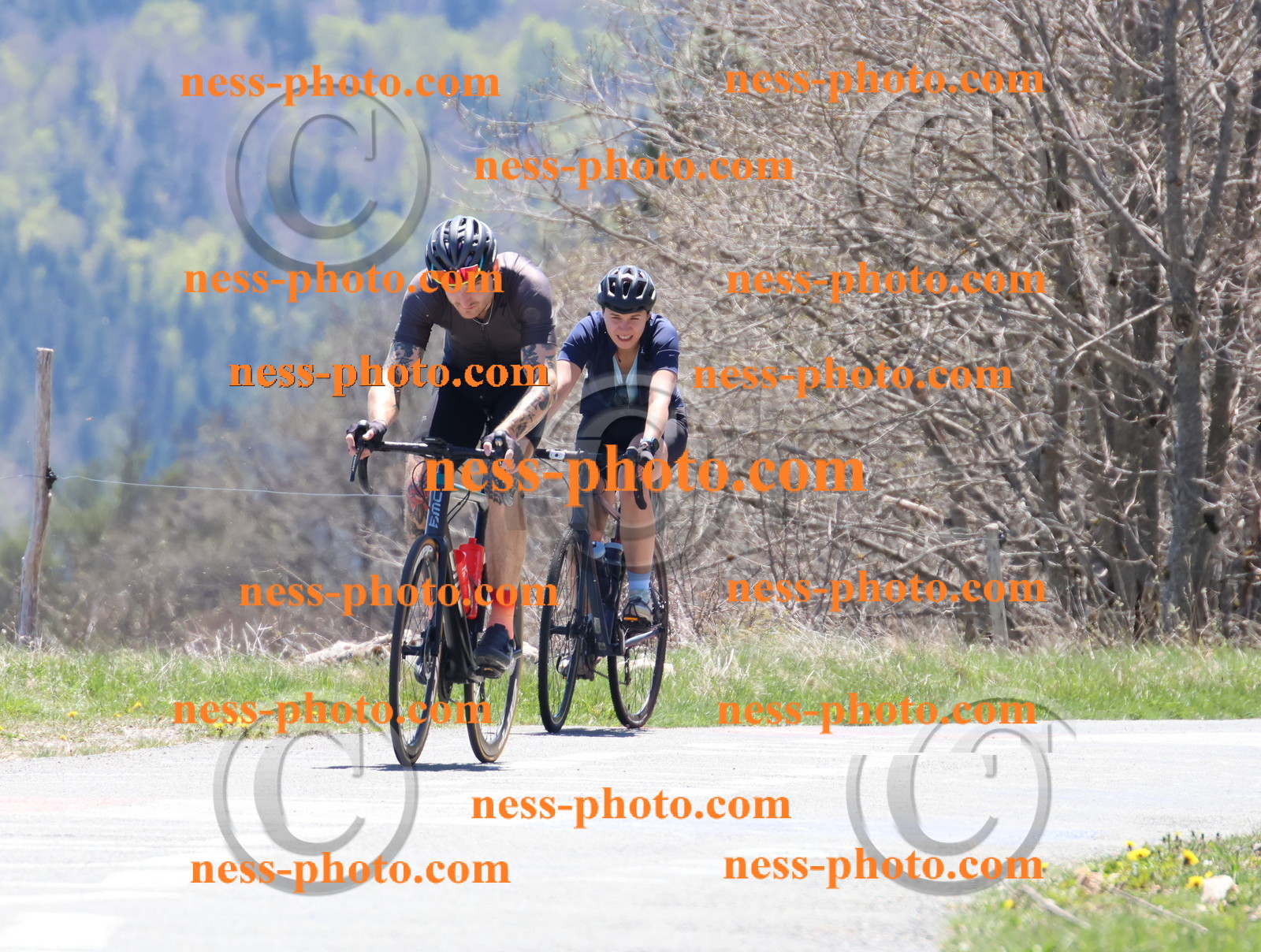 Col du Grand Colombier (618).JPG