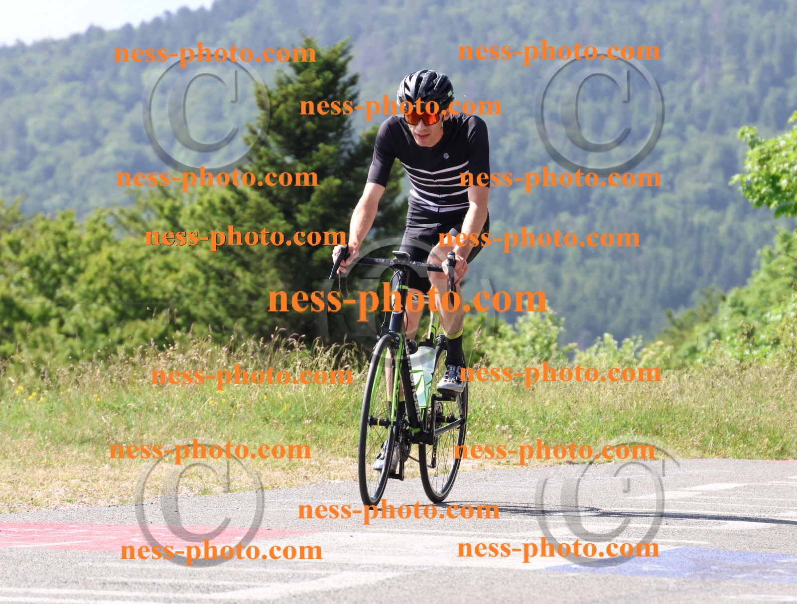 Col du grand Colombier (676).JPG