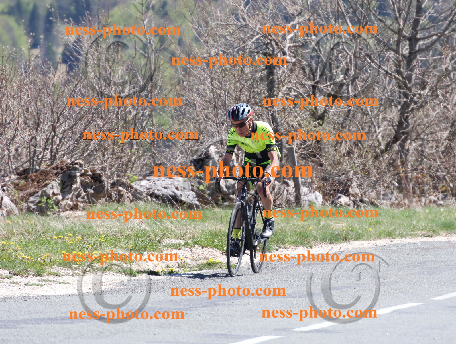 Col du Grand Colombier (899).JPG