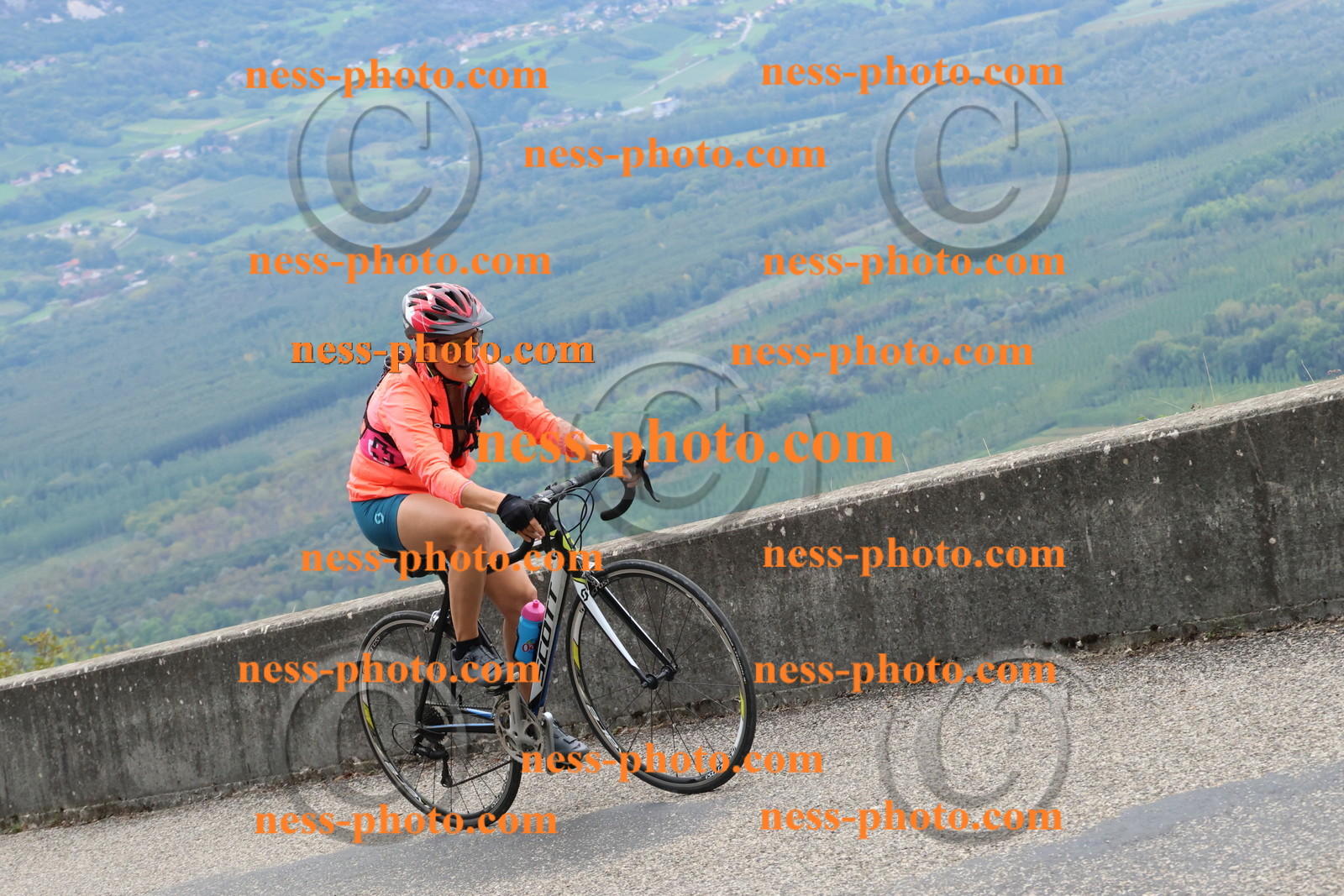 Col du Grand Colombier (1329).JPG