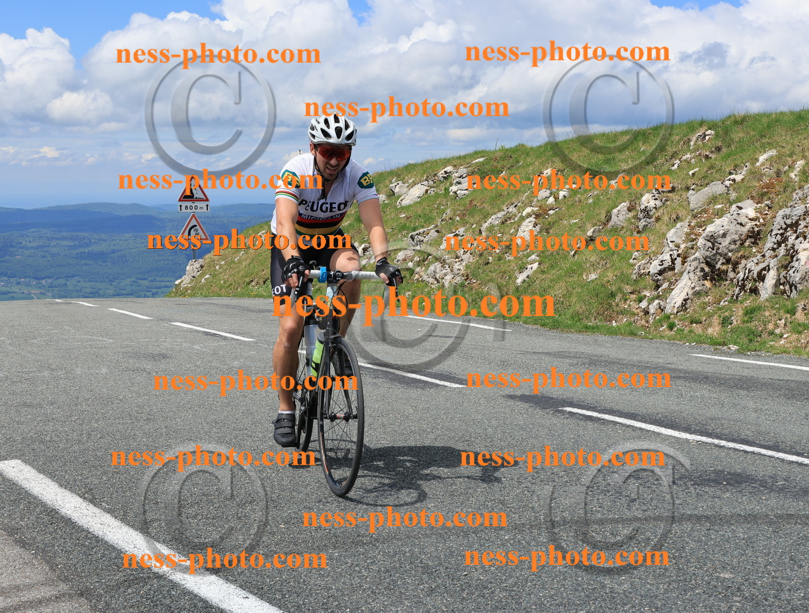 Col du Grand Colombier (2821).JPG