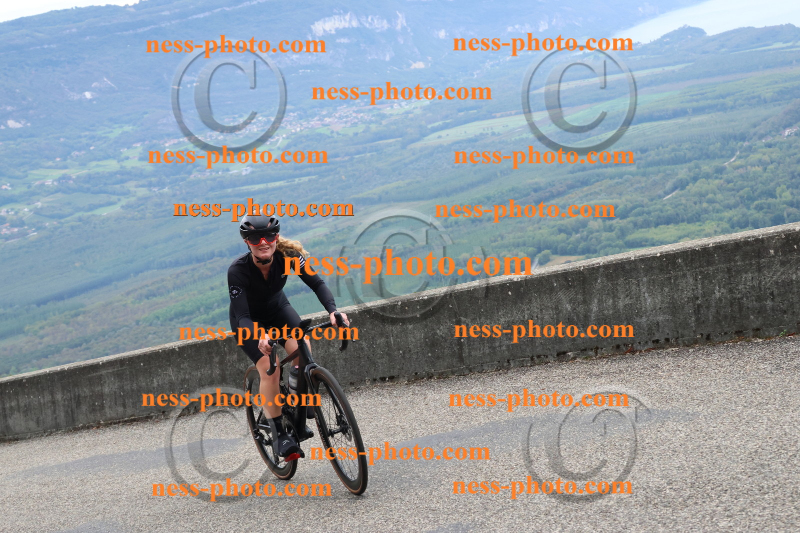 Col du Grand Colombier (888).JPG