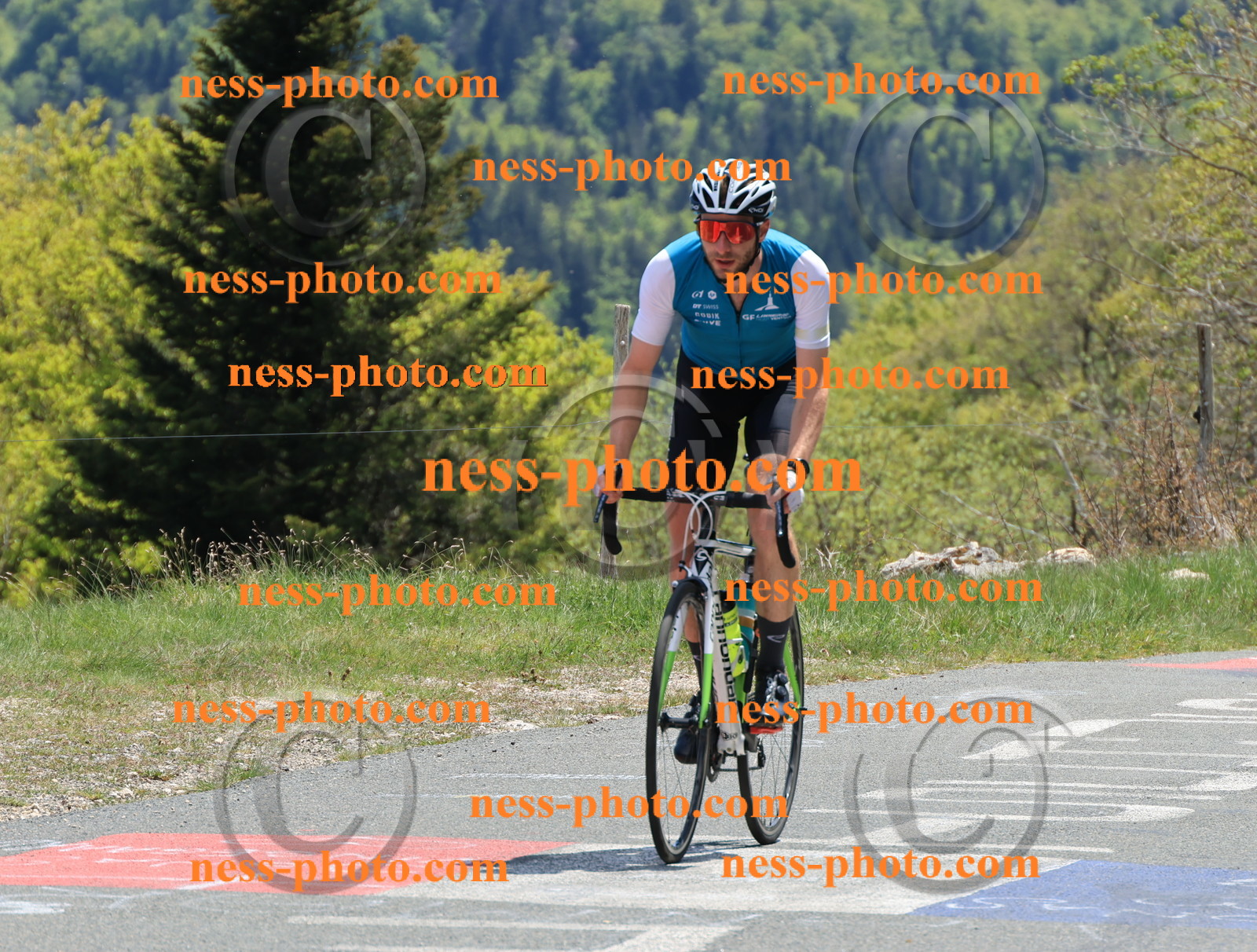 Col du Grand Colombier (492).JPG