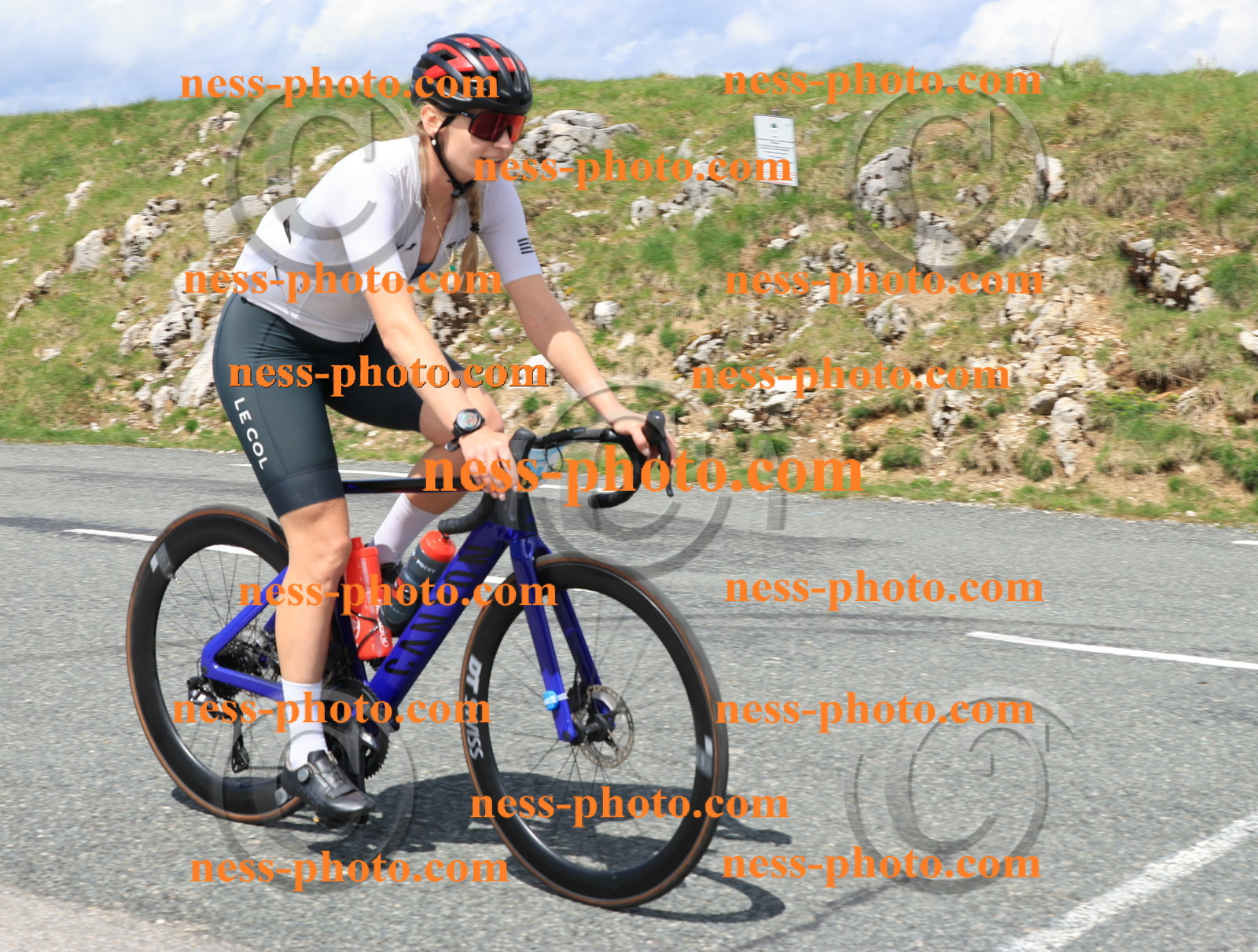 Col du Grand Colombier (2603).JPG