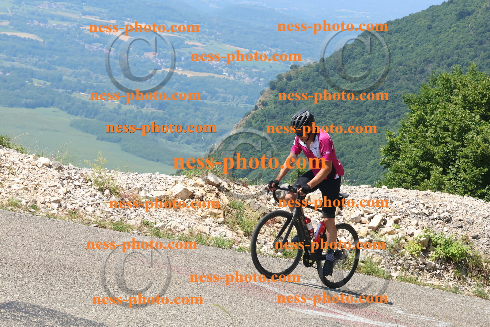 Col du Grand Colombier (395).JPG