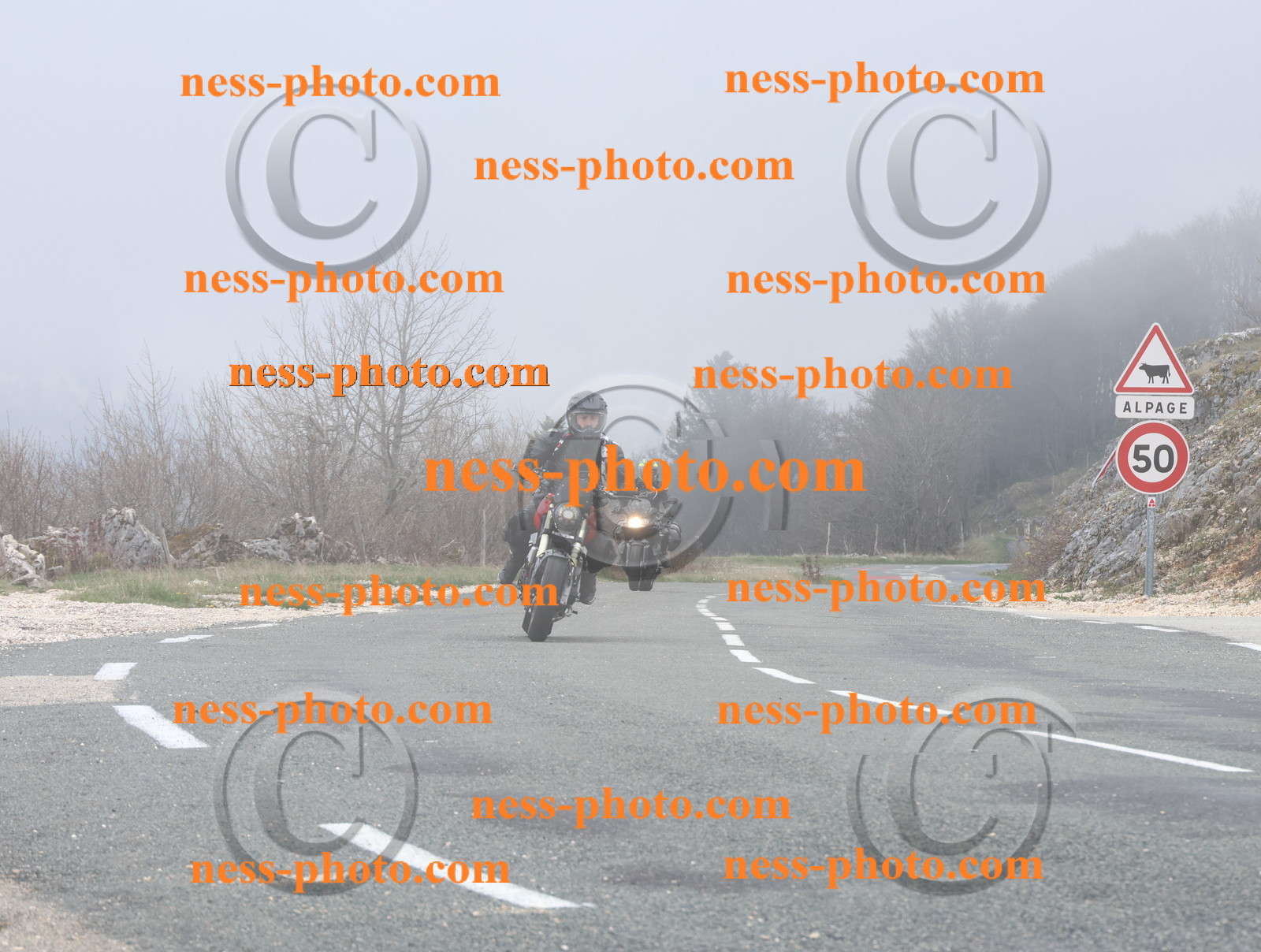 Col du Grand Colombier (26).JPG