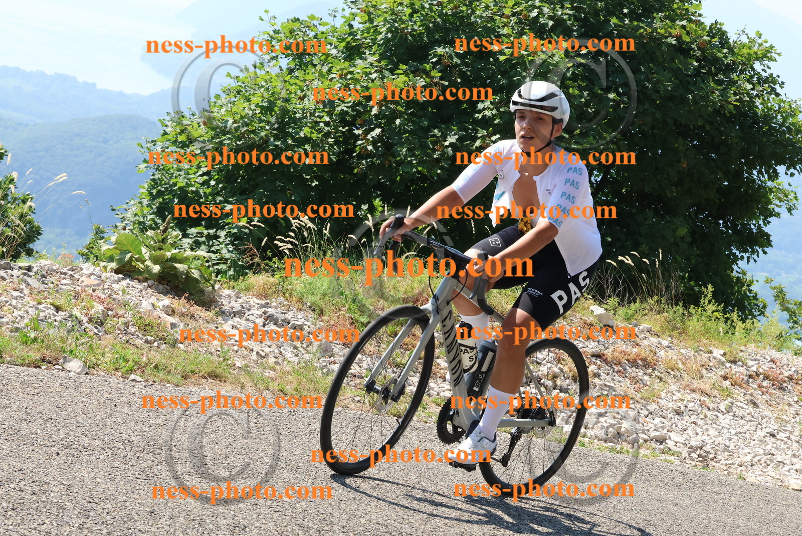 Col du Grand Colombier (316).JPG