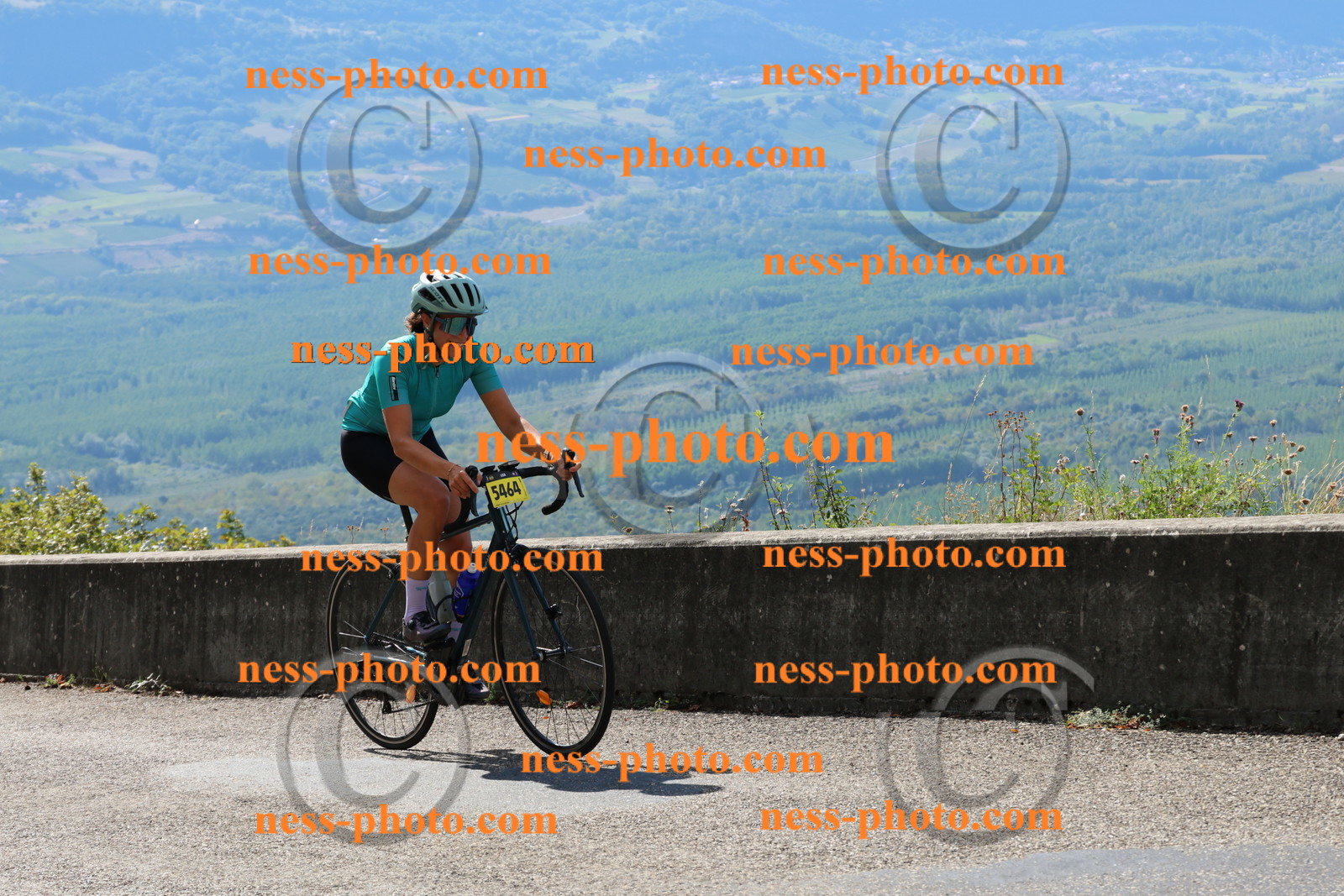 Col du Grand Colombier (82).JPG