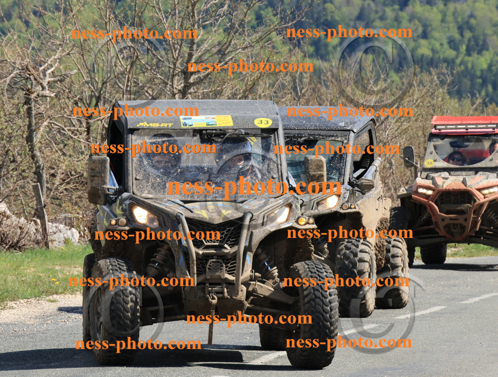 Col du Grand Colombier (220).JPG