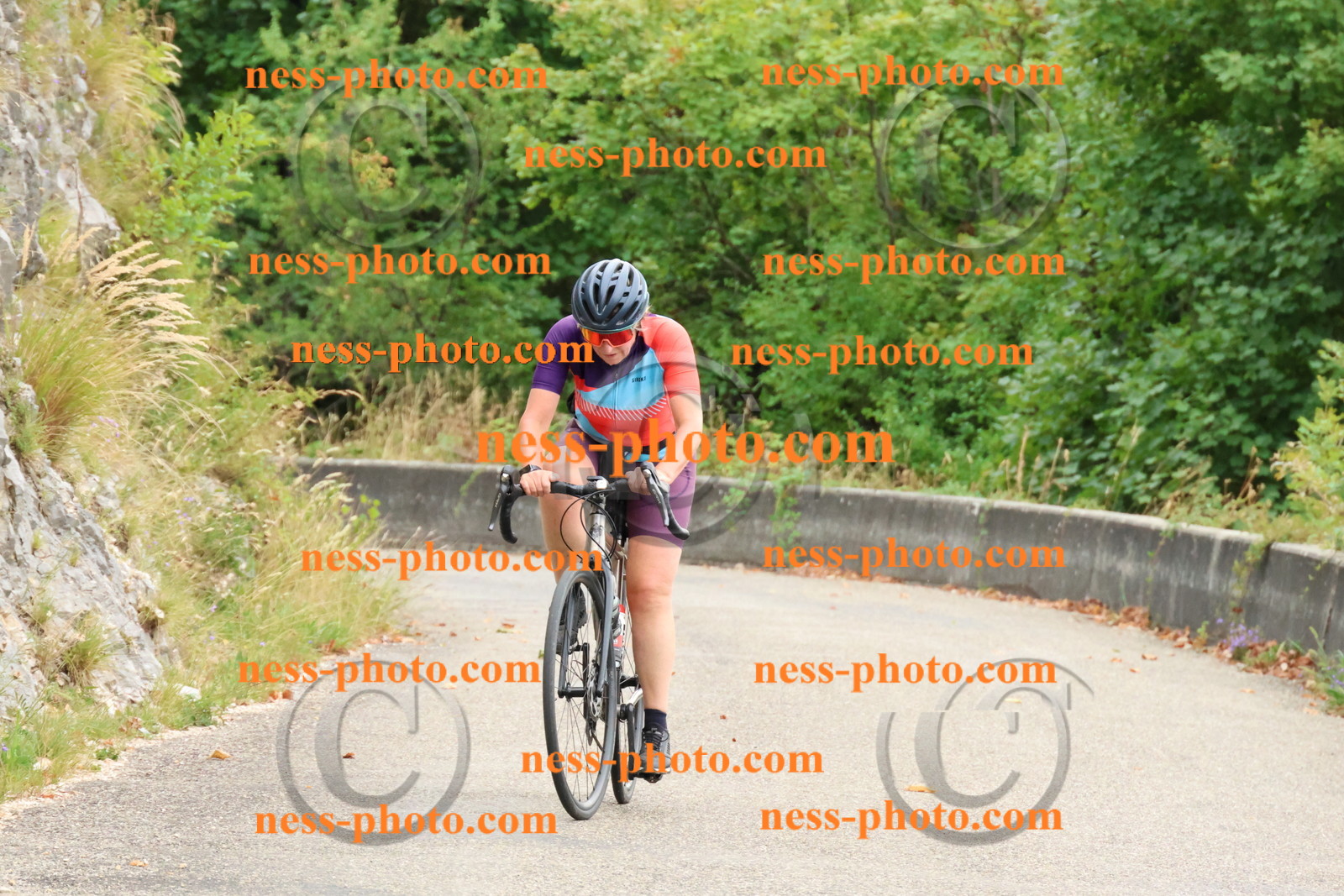 Col du Grand Colombier (66).JPG