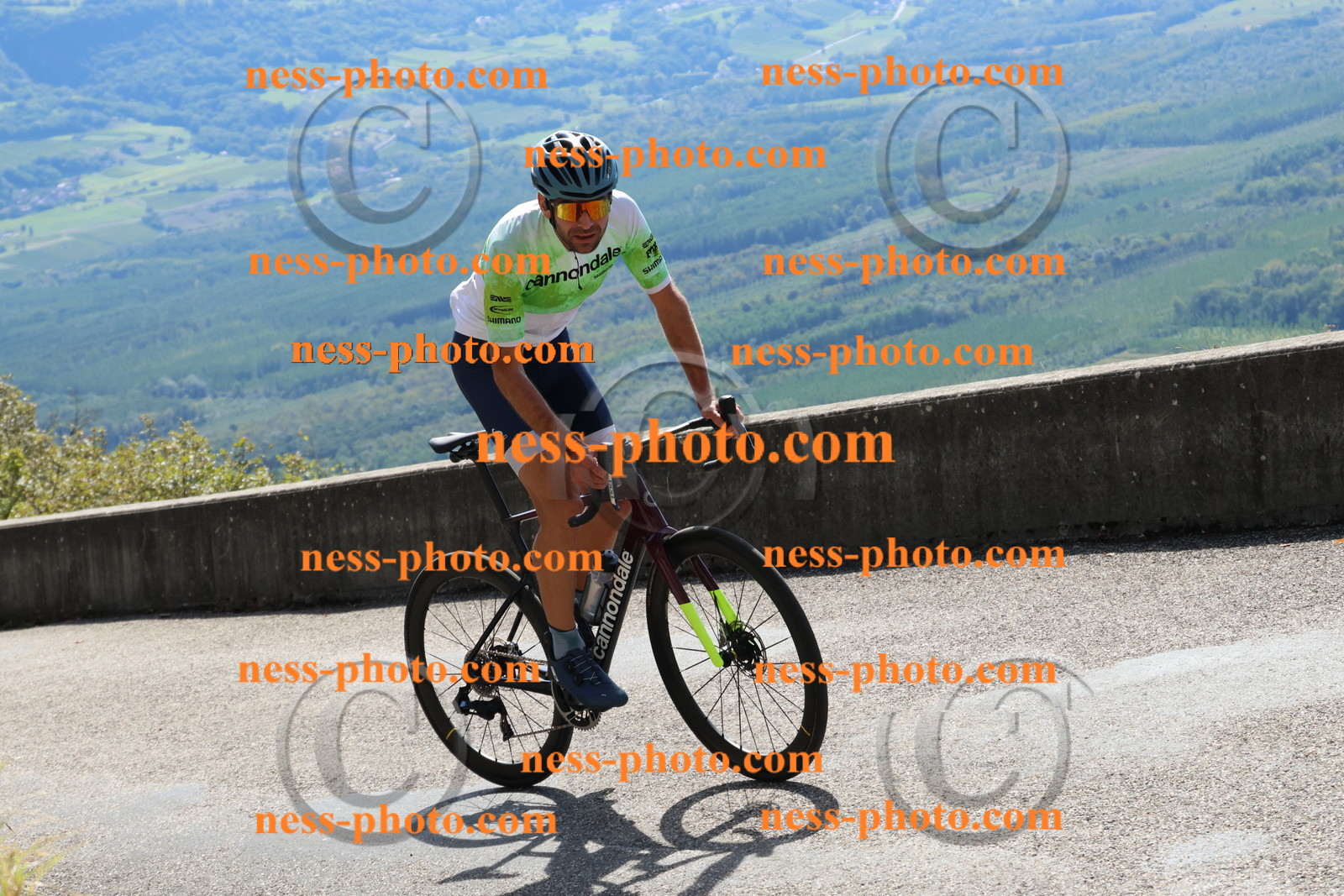 Col du Grand Colombier (451).JPG