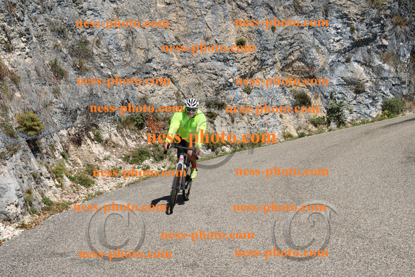 Col du Grand Colombier (402).JPG