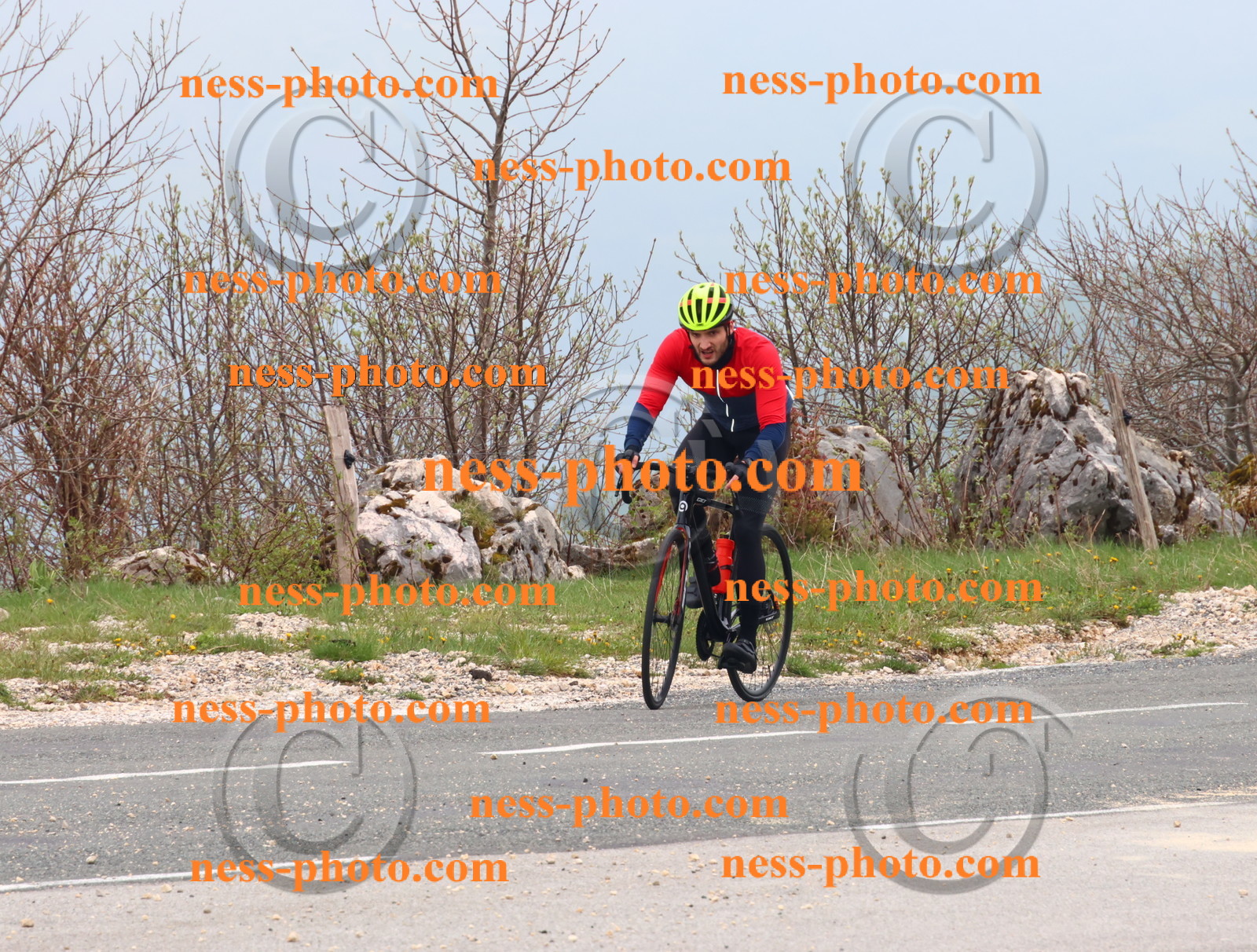 Col du Grand Colombier (449).JPG