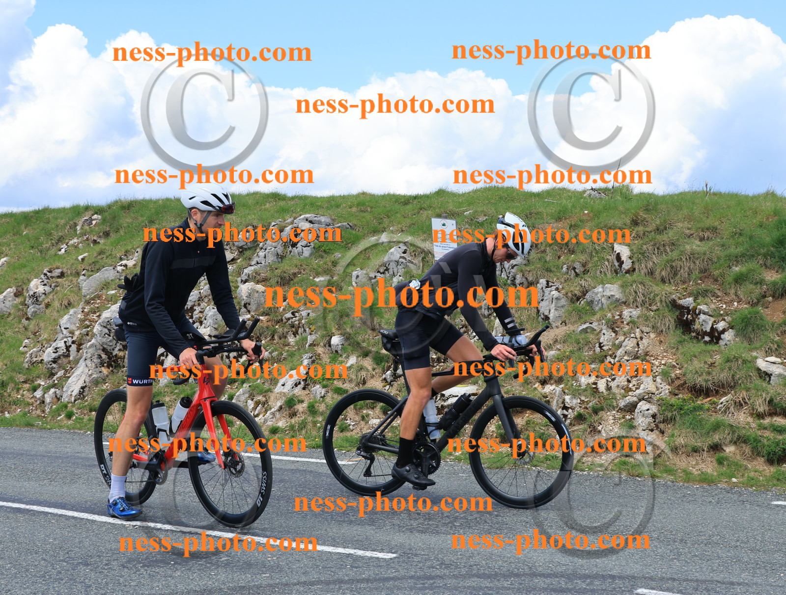 Col du Grand Colombier (2937).JPG