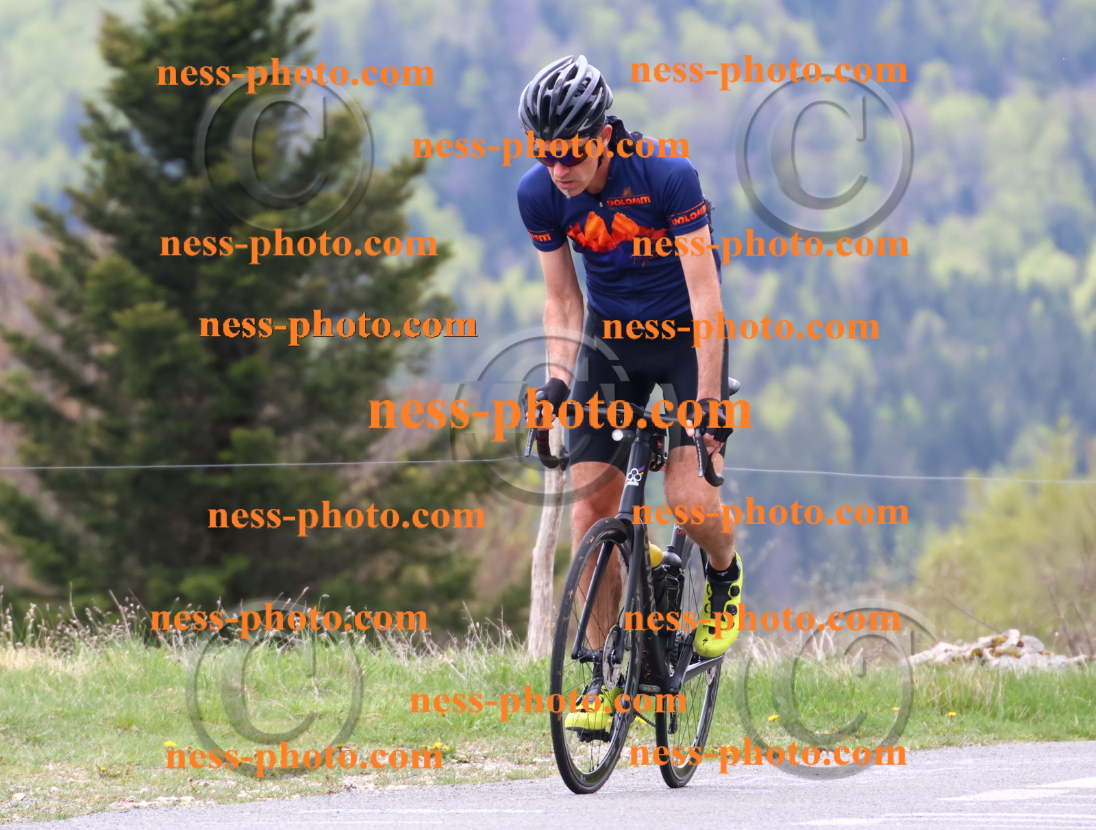 Col du Grand Colombier (163).JPG