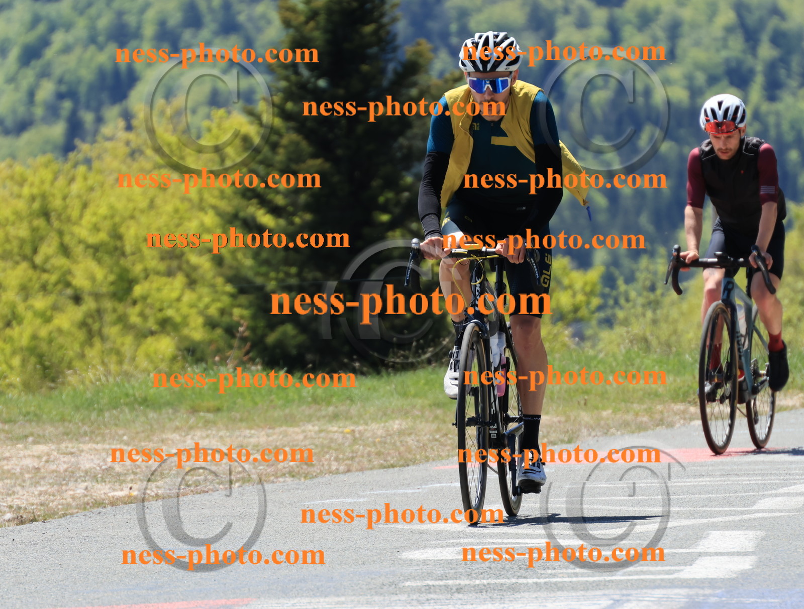 Col du Grand Colombier (211).JPG