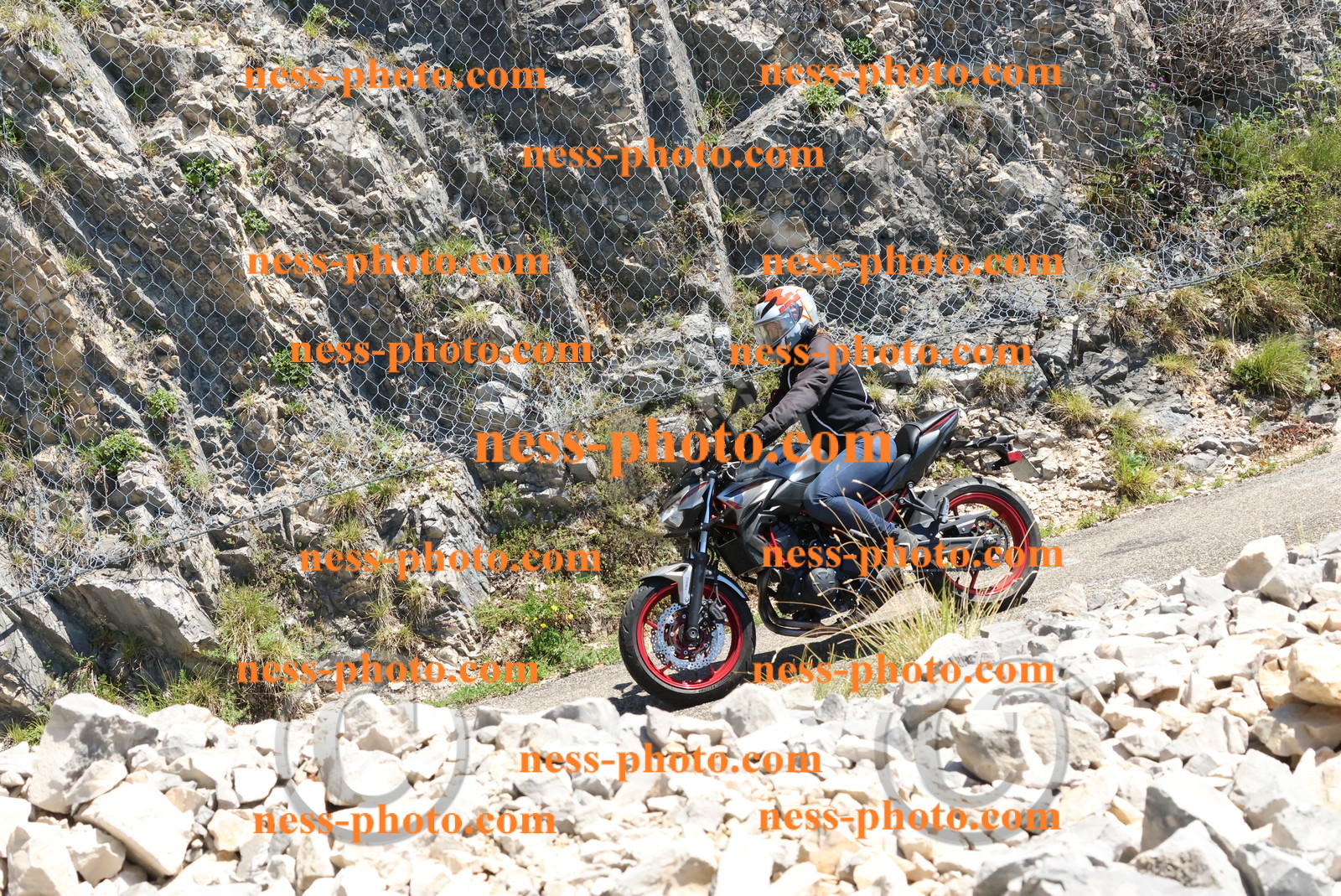 Col du Grand Colombier (308).JPG