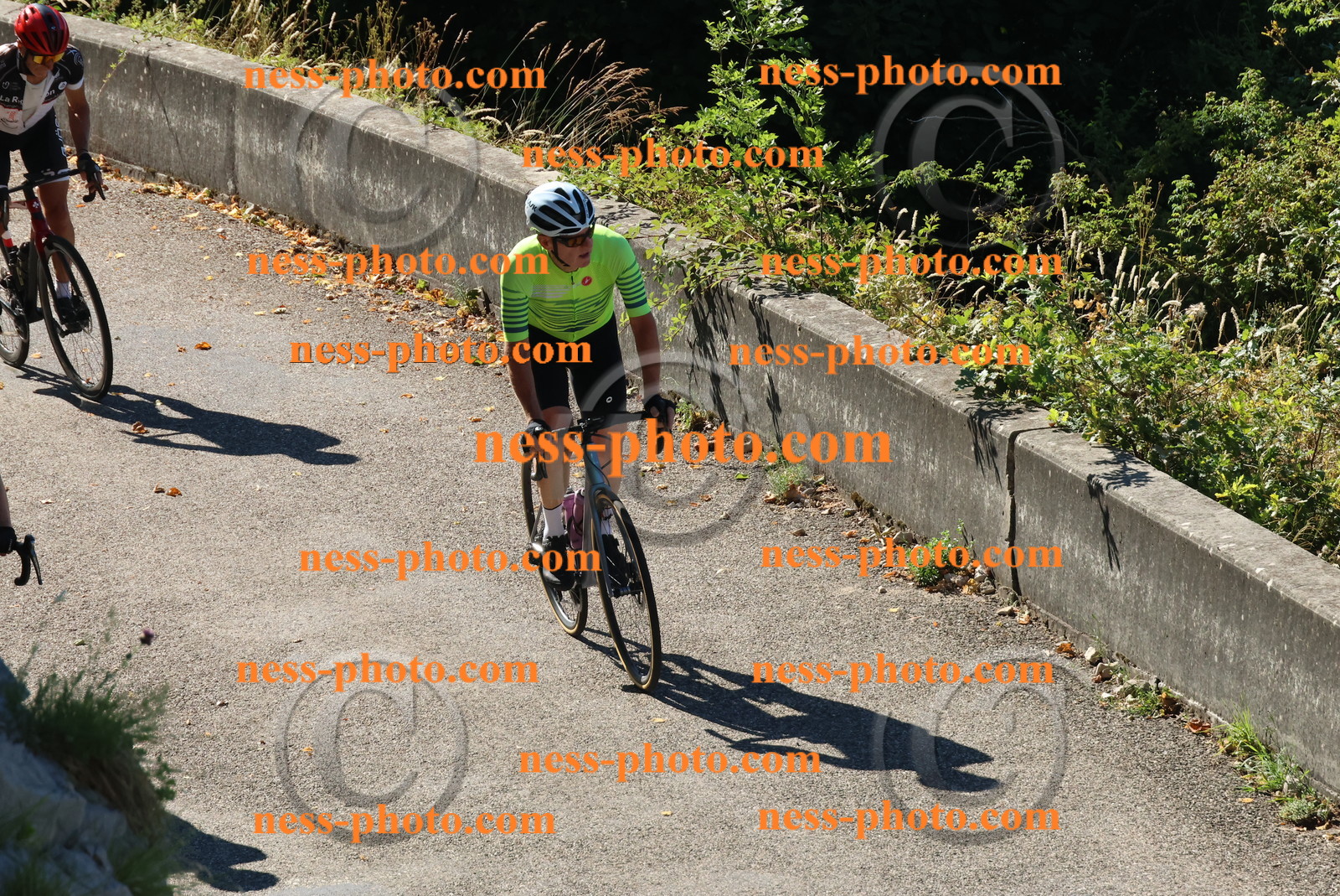 Col du Grand Colombier (122).JPG