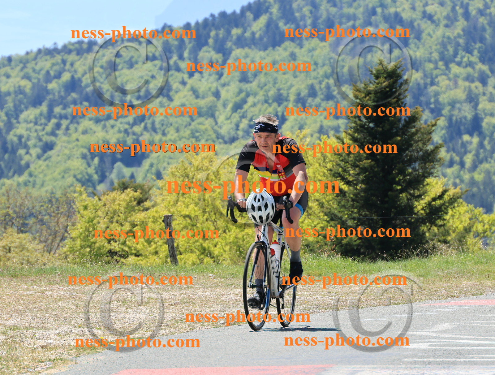 Col du Grand Colombier (170).JPG