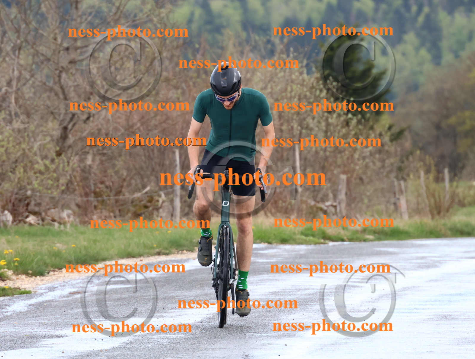 Col du Grand Colombier (251).JPG