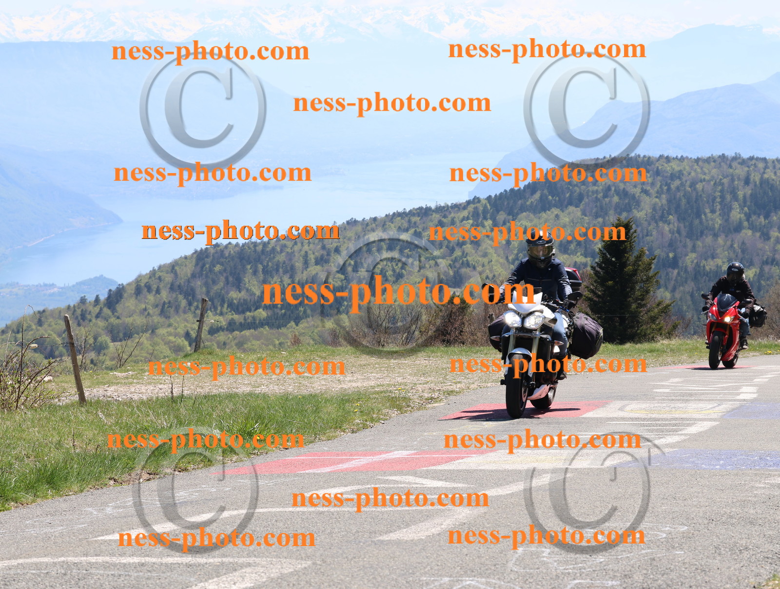 Col du Grand Colombier (166).JPG