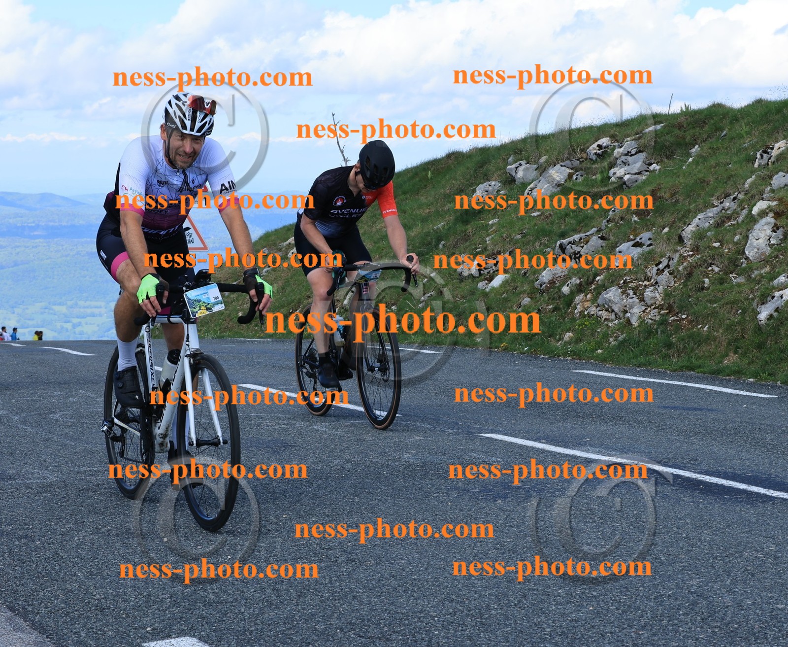 Col du Grand Colombier (675).JPG